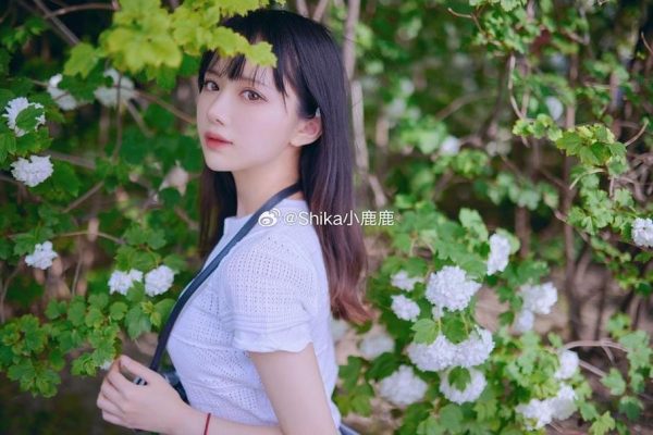 Shika小鹿鹿酮体的秘密：让你惊叹的图片精选