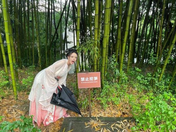 这次更新的秋和柯基美图图包，不得不说是一份绝佳的素材!