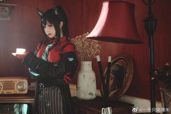 独家分享一千只猫薄禾图包，数十张美图轻轻松松get