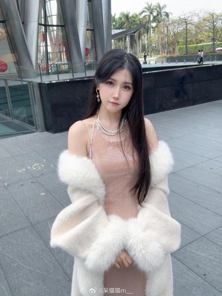 不呆猫免费观看，精选超值图包集