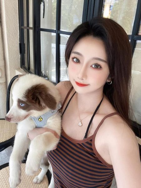 鬼瑶畜集图大全：最全图包分享，让你无需费心，轻松获得美图