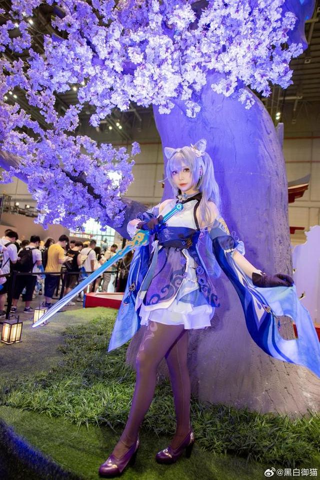 黑白御猫图集：经典之作品再现